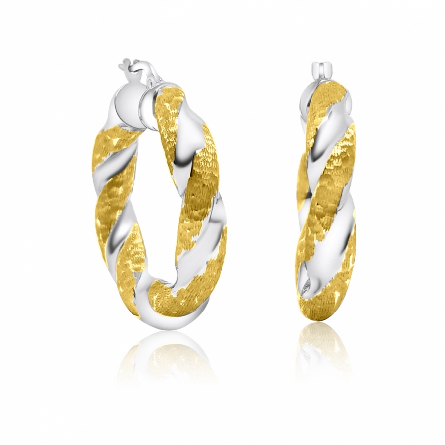 18 Yellow and White Gold Earrings